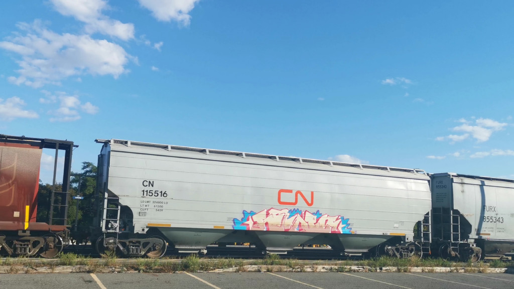 CN 115516